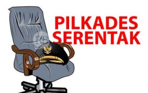 30 Cakades Bertarung di Pilkades Serentak di Kabupaten Merangin