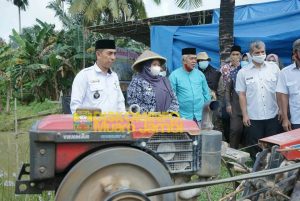 Bupati Masnah Hadiri ‘Sedekah Payo, Turun ke Umo’ Gabungan Kelompok Tani Senaung.