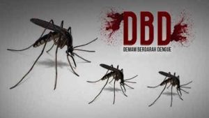 Musim Penghujan, Warga Diminta Waspada DBD