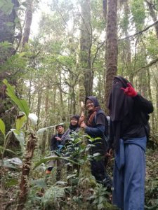 Tiga Mahasiswi UIN STS Jambi yang Dikabarkan Hilang di Gunung Masurai Akhirnya Ditemukan