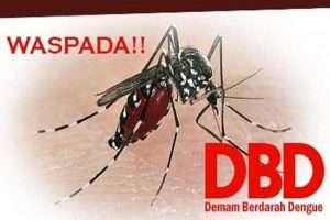 Kasus DBD Menurun Drastis. Dinkes Merangin : “Mungkin Ada yang Terkena DBD, Tapi Enggan Berobat ke Pelayanan Kesehatan Takut Covid-19”