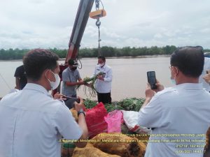 Dishanpan Jambi Serahkan Bantuan Bahan Pangan Untuk Dapur Umum Korban Kebakaran Mendahara Tengah Tanjabtim