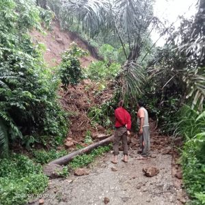 Longsor Lumpuhkan Aktivitas Warga Salah Satu Desa di Kecamatan Lembah Masurai