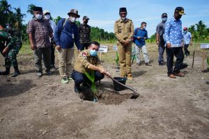 Perkuat Sektor Pertanian, Gubernur Tanam Pinang di Sadu