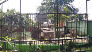 Sudah Banyak Berkarat, Kandang Satwa di Taman Rimba Jambi Perlu Direnovasi