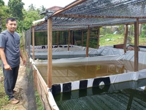 Sosok Guru Pesantren As’ad Jambi Rintis Usaha Jual Benih Ikan Gurame Soang