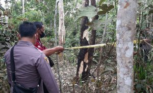 Bukan Helikopter Jatuh, Ternyata Suara Ledakan di Pamenang Bersumber dari Sutet