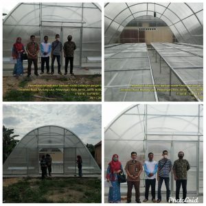 Gapoktan Sehati Kelurahan Mudung Laut Pelayangan Kota Jambi Terima Bansos RMU, Lantai Jemur dan Solar Dryer Dome