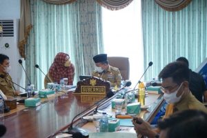 Al-haris Presentasikan Inovasi Ekonomi Daerah Mitigasi Dampak Pandemi Covid- 19