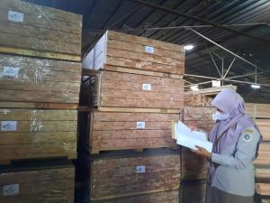 Kayu Meranti siap Percantik Interior Negeri Paman Sam