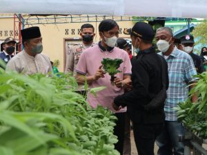 Ketua DPRD Provinsi Jambi lakukan Panen Perdana Sayuran Hidroponik