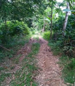 Kades Senaung Diduga Menyalahi Aturan, Lepas Aset Desa ke Desa Lain