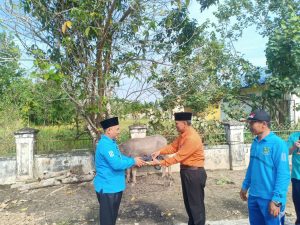 Kantor Kementerian Agama Kabupaten Muaro jambi menyiapkan hewan kurban berupa 1 ekor kerbau dan 2 ekor sapi untuk memperingati hari raya Idul Adha 1443 Hijriyah.