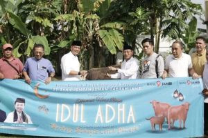 Bank Jambi Kurban 53 Ekor Sapi dan 1 Kambing