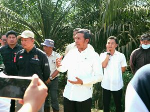 Turun ke Areal PT BSU Edi Purwanto Kawal Proses Patok 750 Ha Lahan Untuk SAD 113