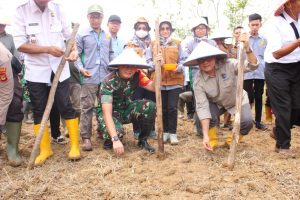 Terus bergerak dukung Ketahanan Pangan Dandim 0402/OKI Pimpin Penanaman Jagung