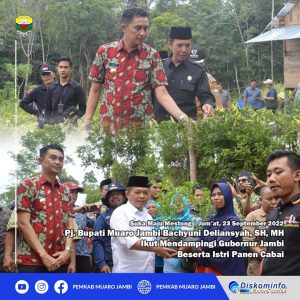 Pj Bupati Muaro Jambi dampingi Gubernur Tanam Cabai