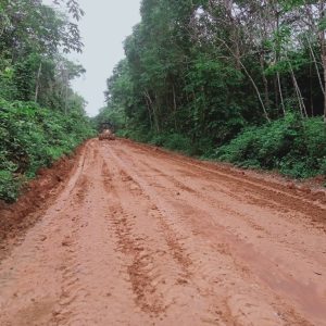 PT Sampoerna Agro Turunkan Alat Berat Perbaiki Jalan Sungai Ceper