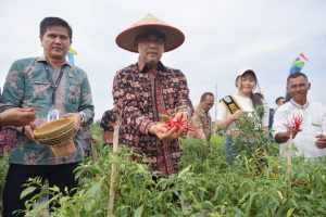 Inflasi Kota Jambi Bulan Maret Alami Penurunan