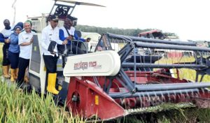 Panen Raya Melimpah, Wabup OKI Minta Kawal Harga Beras dan Gabah Stabil