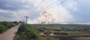 Tindakan Kurang Masiv, Karhutla di OKI Belum Terkendali