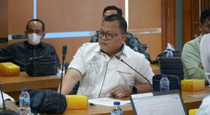 Lemahnya Pengawasan, Dewan Provinsi Jambi Minta Inspektorat Maksimalkan Kinerja