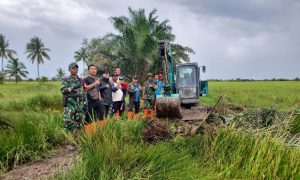 Kodim 0402/OKI Optimasi Lahan Rawa Untuk Tingkatkan Kesejahteraan Masyarakat