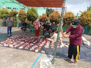 PWI Jambi Potong Dua Sapi Qurban