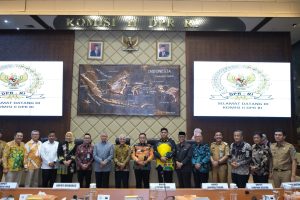 Rapat Dengar Pendapat terhadap pembahasan Rancangan Undang Undang.