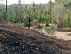 PELAKU ILEGAL DRILING DIHUTAN TAHURA SENAMI BEBAS BERAKTIVITAS TANPA ADA RASA TAKUT.