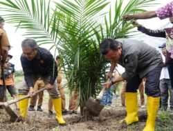 Gubernur Al Haris: Program Intercroping Padi Gogo dan Kelapa Sawit Tingkatkan Ketahanan Pangan