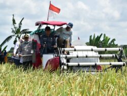 OKI Surplus Beras 238 Ribu Ton, Target Produksi Meningkat