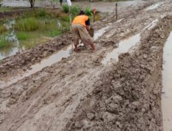 Jalan “Becek” di Air Sugihan OKI Hambat Aktivitas Warga