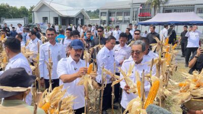 Menteri IMIPAS Panen Perdana Ketahanan Pangan di Nusakambangan