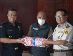 Barantin dan Bea Cukai Bersinergi Cegah Pemasukan Komoditas Ilegal Bawang
