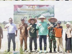 Tanam Padi Serentak, Rahmad Hasrofi Harap Batanghari Capai Swasembada Pangan