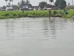 Kabar Gembira: Berkat Kerja Keras dan Koordinasi Intens Camat Pedamaran, Gulma Timboan Penyesak Sungai Berhasil Dibersihkan Total   