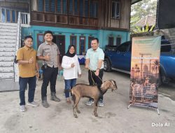 PT Kelantan Sakti Semarakkan Idul Adha dengan Bagikan Hewan Kurban ke 16 Desa