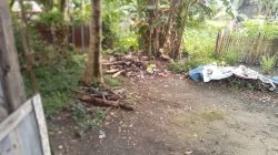 Desa Senaung tidak aman,Hampir Tiap Malam ada saja warga kemalingan