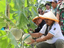 Bupati dan Wakil Bupati Tanjabbar Lakukan Kunjungan Kerja Ke Desa Kuala Dasal