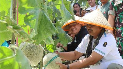 Bupati dan Wakil Bupati Tanjabbar Lakukan Kunjungan Kerja Ke Desa Kuala Dasal