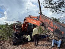 Polres Bengkalis Tetapkan A.S Perambah Hutan Produksi sebagai Tersangka