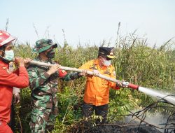 Tak Gentar Lewati Medan Sulit, Al Haris Berjibaku Padamkan Karhutla di Pelosok Tanjabtim