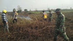 Babinsa Koramil 402-03/Sp Padang Berhasil Padamkan Karhutla Seluas 6 Hektar di Desa Batun Baru