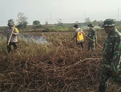 Babinsa Koramil 402-03/Sp Padang Berhasil Padamkan Karhutla Seluas 6 Hektar di Desa Batun Baru