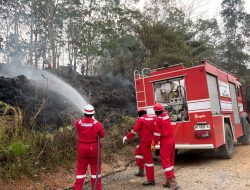 Pertamina EP Bantu Padamkan Lima Titik Kebakaran Lahan di Jambi
