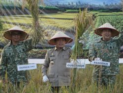 Gubernur Al Haris Hadiri Panen Raya TNI di Desa Kota Baru Geragai, Dukung Ketahanan Pangan