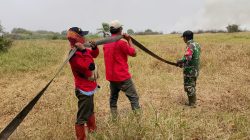 Pantang Menyerah, Babinsa 402-02/Pedamaran Kendalikan Karhutla di Pedamaran V*