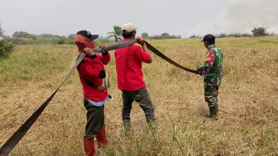 Pantang Menyerah, Babinsa 402-02/Pedamaran Kendalikan Karhutla di Pedamaran V*