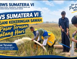 BWS Sumatera VI terus tangani kekeringan sawah di Pasar Terusan Batang Hari